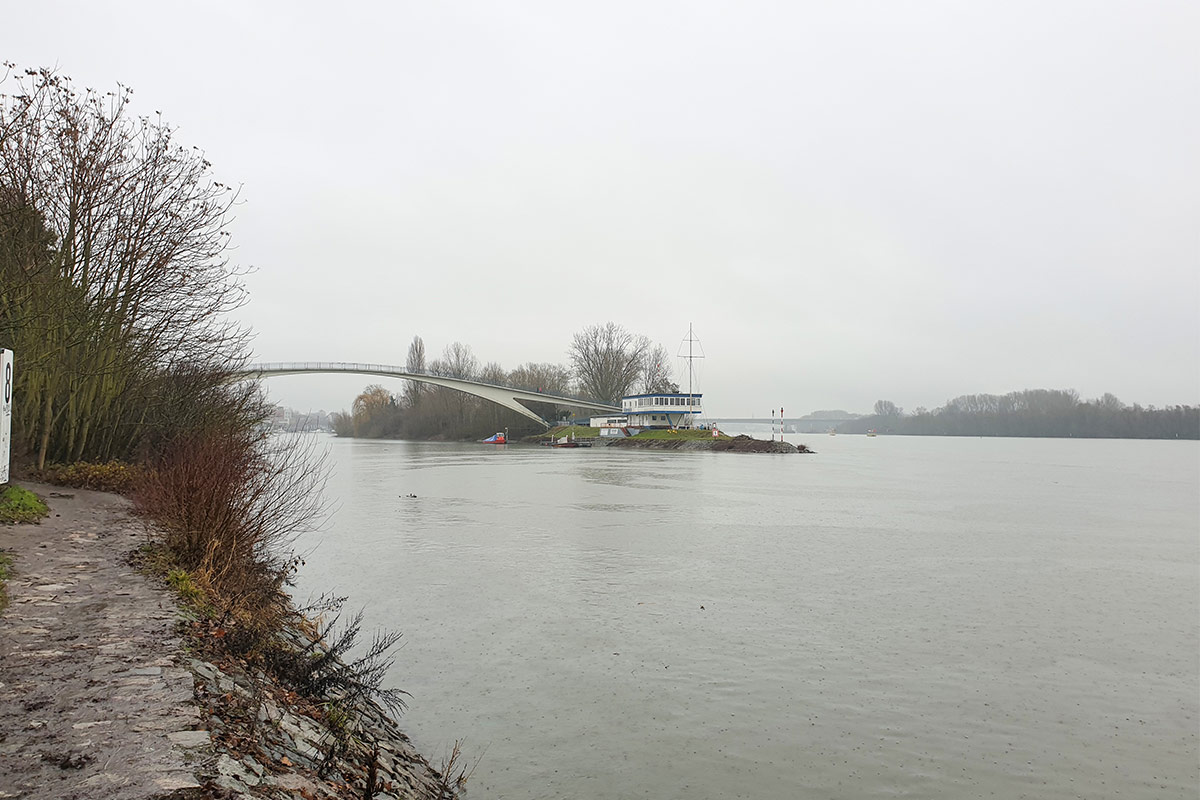 Rhein- und Mainufer-Entwicklungskonzept- Lichtenstein Landschaftsarchitekten